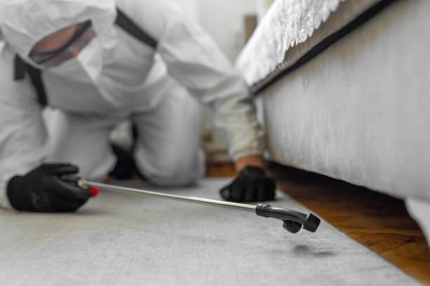 Professional Bed Bug Control technician working in Glencoe, AL